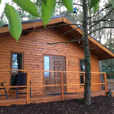 Butterfly Cabin Limerick Junction Exteriör bild