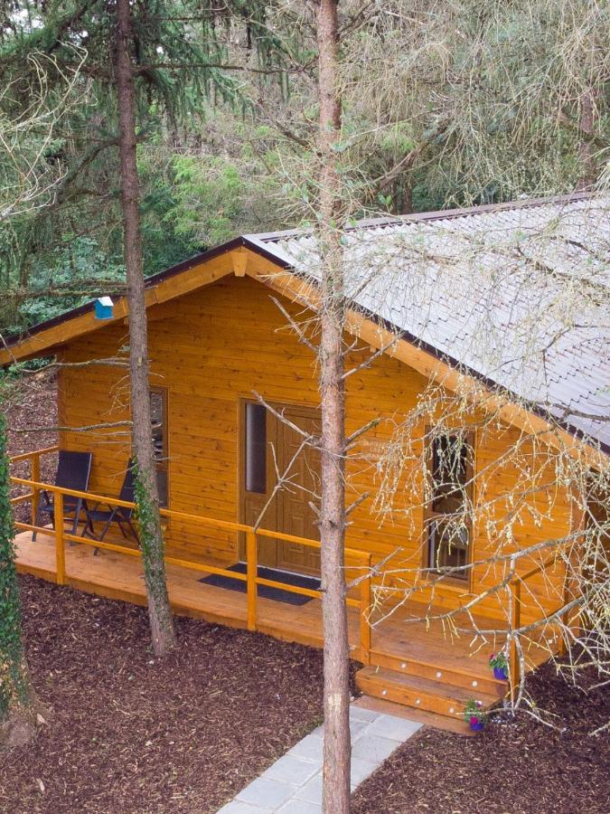 Butterfly Cabin Limerick Junction Exteriör bild