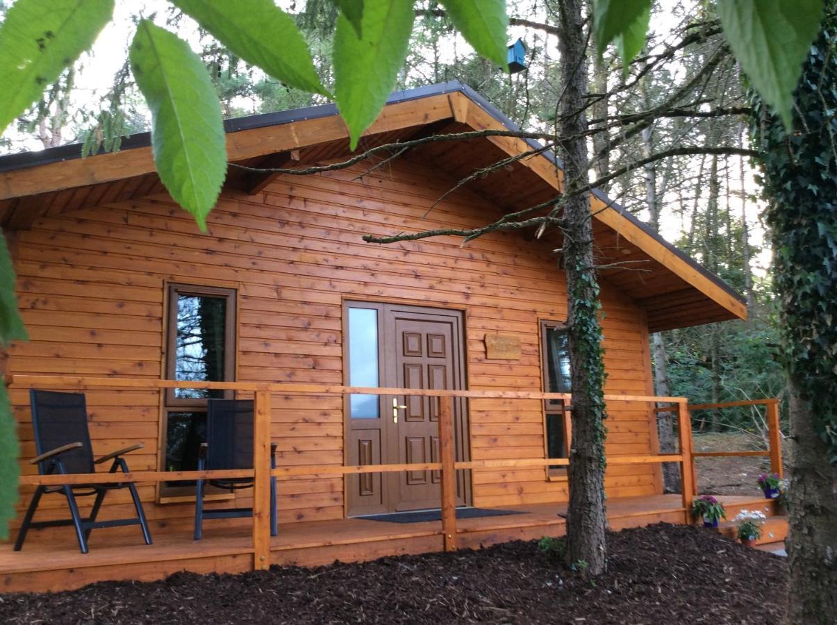 Butterfly Cabin Limerick Junction Exteriör bild