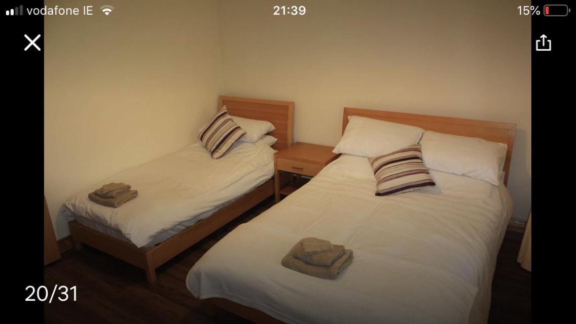 Butterfly Cabin Limerick Junction Exteriör bild