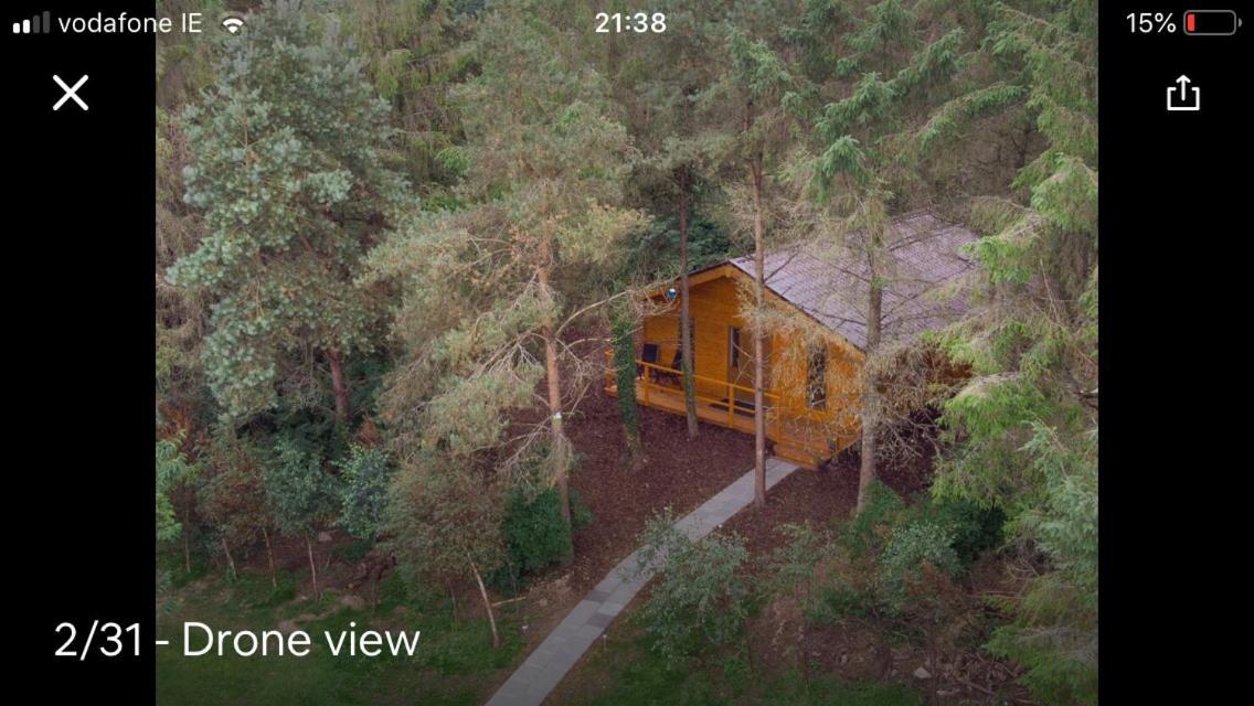 Butterfly Cabin Limerick Junction Exteriör bild